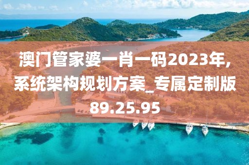 澳门管家婆一肖一码2023年,系统架构规划方案_专属定制版89.25.95