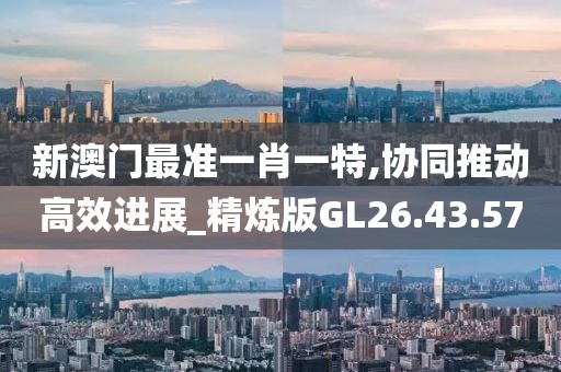 新澳门最准一肖一特,协同推动高效进展_精炼版GL26.43.57