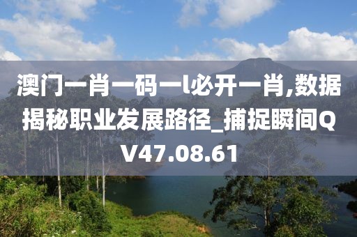 澳门一肖一码一l必开一肖,数据揭秘职业发展路径_捕捉瞬间QV47.08.61