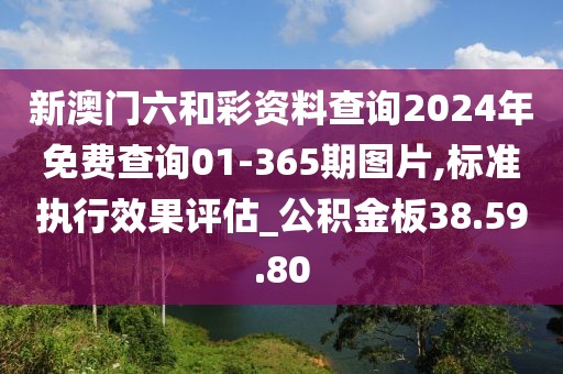 新澳门六和彩资料查询2024年免费查询01-365期图片,标准执行效果评估_公积金板38.59.80