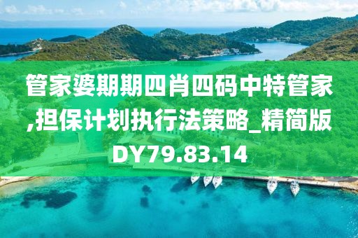 管家婆期期四肖四码中特管家,担保计划执行法策略_精简版DY79.83.14