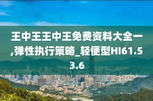 王中王王中王免费资料大全一,弹性执行策略_轻便型HI61.53.6