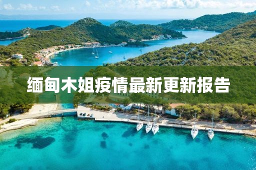 缅甸木姐疫情最新更新报告