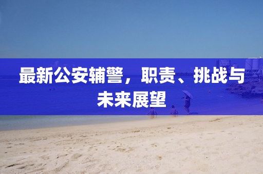 最新公安辅警，职责、挑战与未来展望