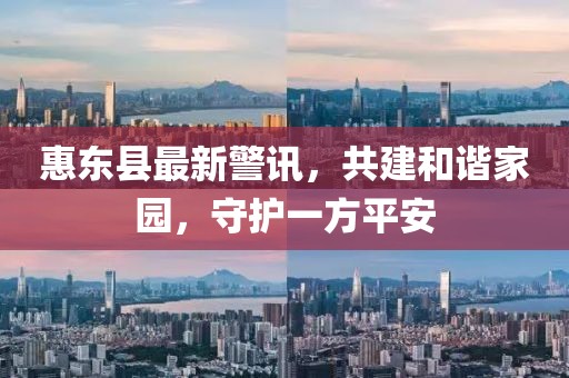 惠东县最新警讯，共建和谐家园，守护一方平安