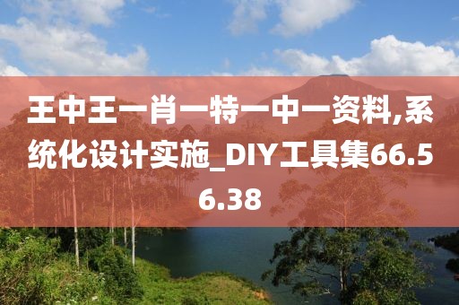王中王一肖一特一中一资料,系统化设计实施_DIY工具集66.56.38