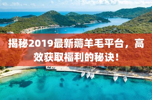 揭秘2019最新薅羊毛平台，高效获取福利的秘诀！