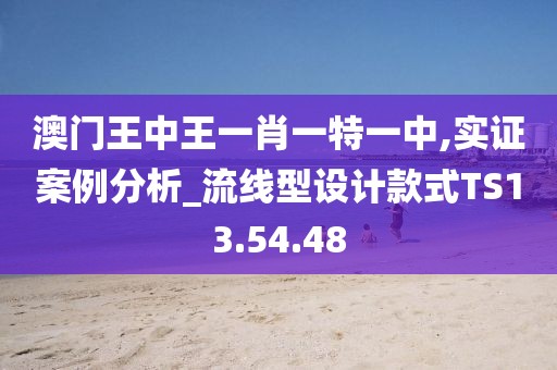 澳门王中王一肖一特一中,实证案例分析_流线型设计款式TS13.54.48