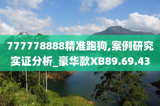 777778888精准跑狗,案例研究实证分析_豪华款XB89.69.43