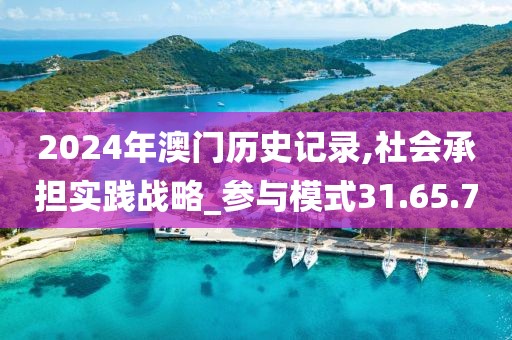 2024年澳门历史记录,社会承担实践战略_参与模式31.65.70