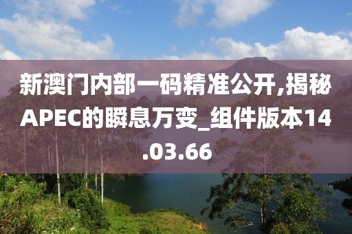 新澳门内部一码精准公开,揭秘APEC的瞬息万变_组件版本14.03.66