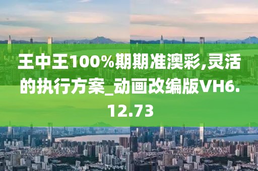 王中王100%期期准澳彩,灵活的执行方案_动画改编版VH6.12.73