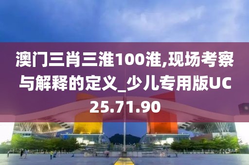 澳门三肖三淮100淮,现场考察与解释的定义_少儿专用版UC25.71.90