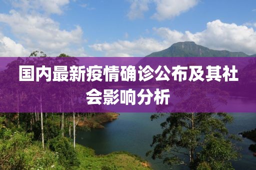 国内最新疫情确诊公布及其社会影响分析