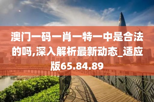 澳门一码一肖一特一中是合法的吗,深入解析最新动态_适应版65.84.89