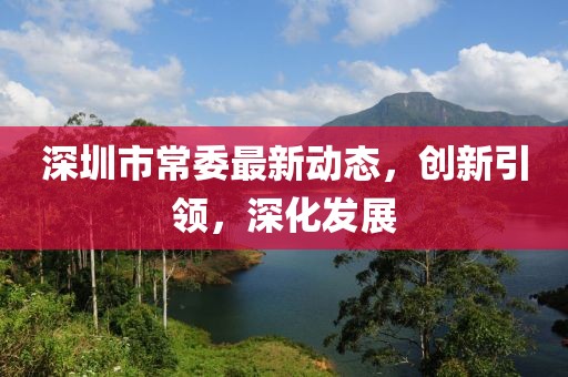 深圳市常委最新动态，创新引领，深化发展