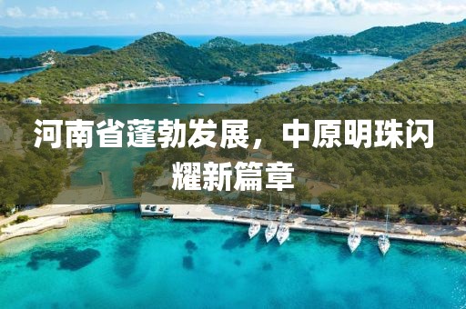河南省蓬勃发展，中原明珠闪耀新篇章