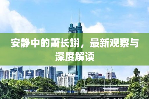 安静中的萧长翊，最新观察与深度解读