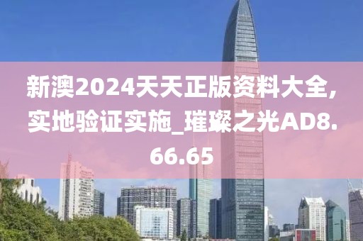 新澳2024天天正版资料大全,实地验证实施_璀璨之光AD8.66.65