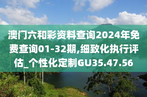 澳门六和彩资料查询2024年免费查询01-32期,细致化执行评估_个性化定制GU35.47.56