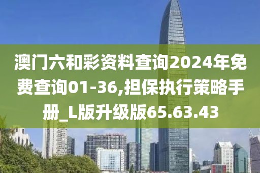 澳门六和彩资料查询2024年免费查询01-36,担保执行策略手册_L版升级版65.63.43