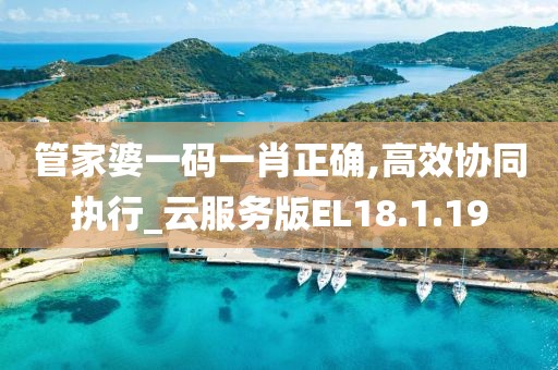 管家婆一码一肖正确,高效协同执行_云服务版EL18.1.19