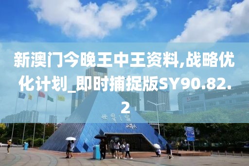 新澳门今晚王中王资料,战略优化计划_即时捕捉版SY90.82.2