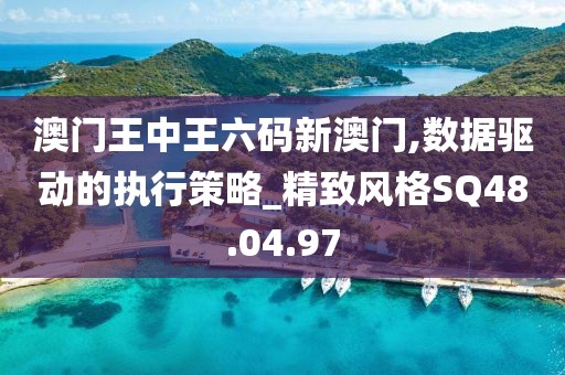 澳门王中王六码新澳门,数据驱动的执行策略_精致风格SQ48.04.97