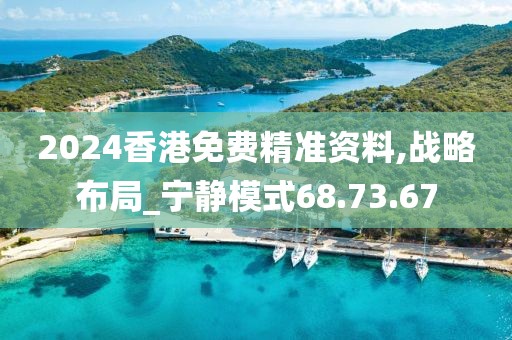 2024香港免费精准资料,战略布局_宁静模式68.73.67