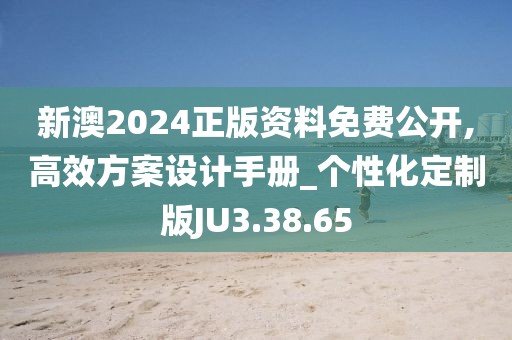 新澳2024正版资料免费公开,高效方案设计手册_个性化定制版JU3.38.65