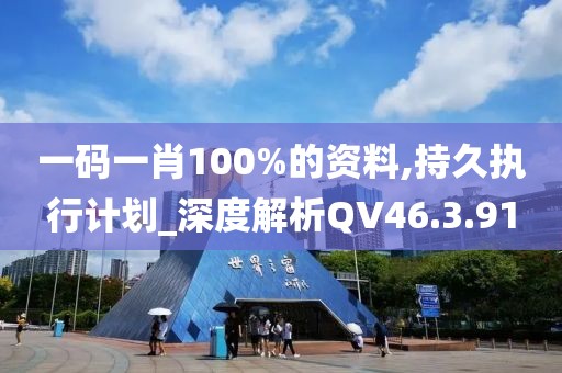 一码一肖100%的资料,持久执行计划_深度解析QV46.3.91