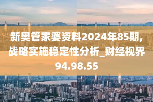 新奥管家婆资料2024年85期,战略实施稳定性分析_财经视界94.98.55