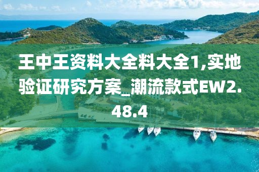 王中王资料大全料大全1,实地验证研究方案_潮流款式EW2.48.4