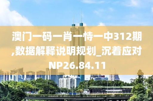 澳门一码一肖一恃一中312期,数据解释说明规划_沉着应对NP26.84.11