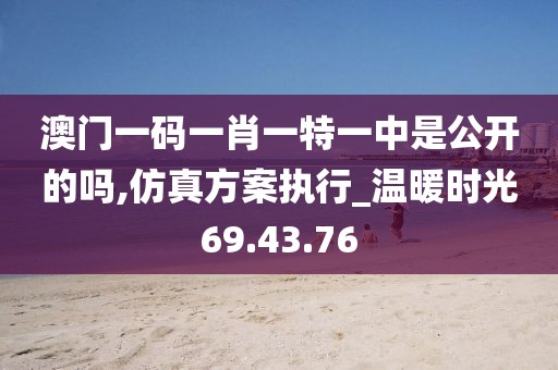 澳门一码一肖一特一中是公开的吗,仿真方案执行_温暖时光69.43.76