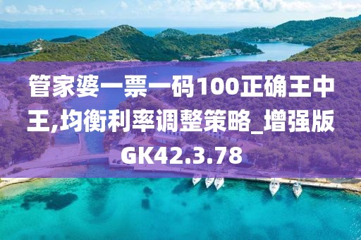管家婆一票一码100正确王中王,均衡利率调整策略_增强版GK42.3.78
