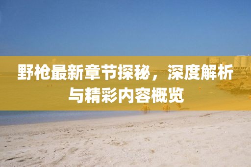 野枪最新章节探秘，深度解析与精彩内容概览
