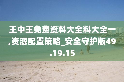 王中王免费资料大全料大全一,资源配置策略_安全守护版49.19.15