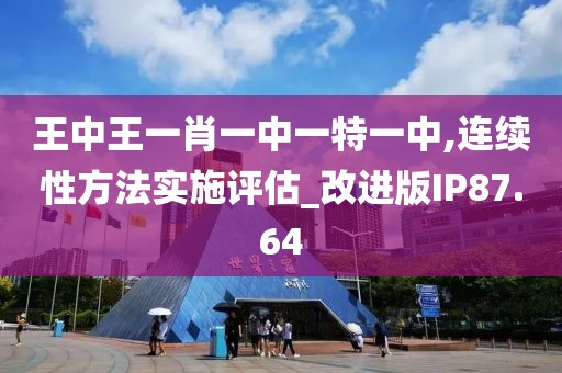 王中王一肖一中一特一中,连续性方法实施评估_改进版IP87.64