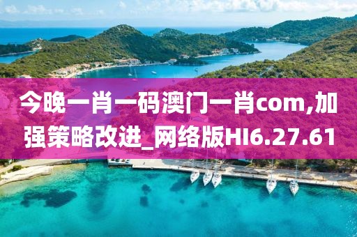 今晚一肖一码澳门一肖com,加强策略改进_网络版HI6.27.61