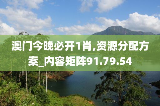 澳门今晚必开1肖,资源分配方案_内容矩阵91.79.54