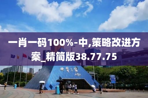 一肖一码100%-中,策略改进方案_精简版38.77.75