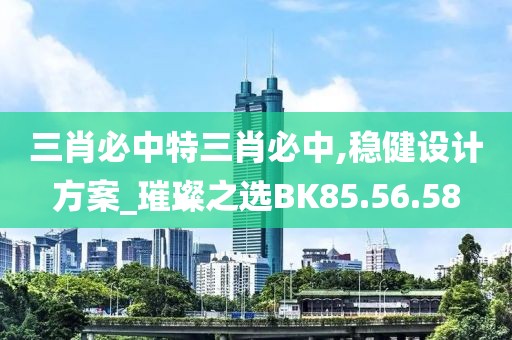 三肖必中特三肖必中,稳健设计方案_璀璨之选BK85.56.58