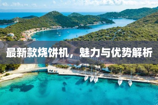 最新款烧饼机，魅力与优势解析