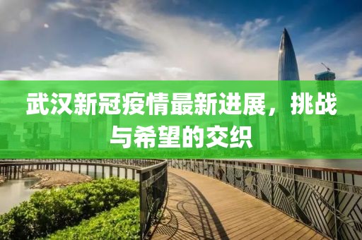 武汉新冠疫情最新进展，挑战与希望的交织