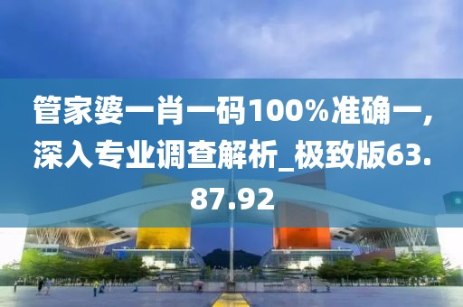 管家婆一肖一码100%准确一,深入专业调查解析_极致版63.87.92