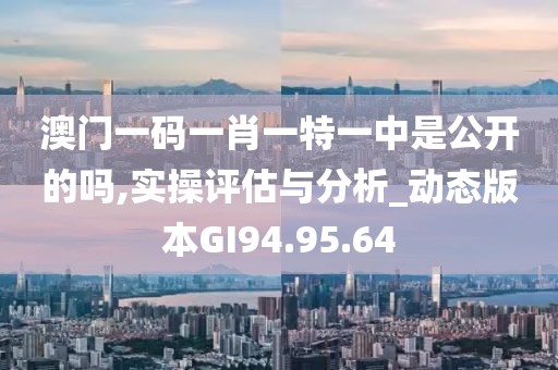 澳门一码一肖一特一中是公开的吗,实操评估与分析_动态版本GI94.95.64