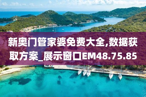 新奥门管家婆免费大全,数据获取方案_展示窗口EM48.75.85