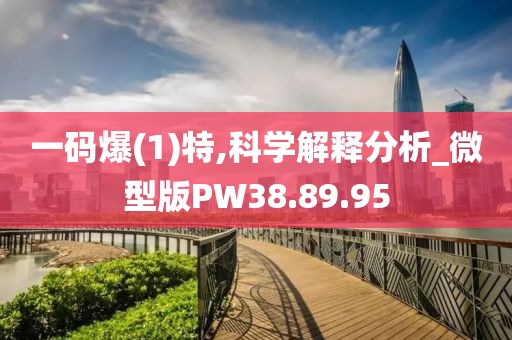 一码爆(1)特,科学解释分析_微型版PW38.89.95