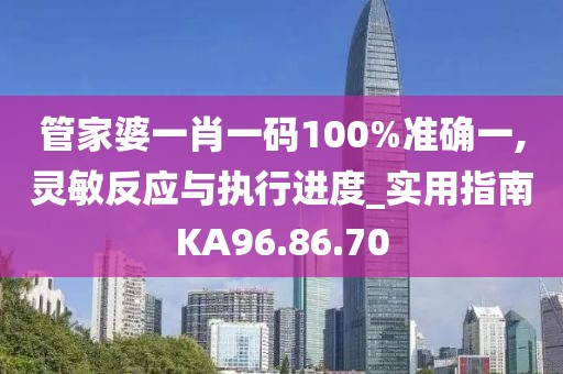 管家婆一肖一码100%准确一,灵敏反应与执行进度_实用指南KA96.86.70